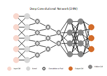Deep Convolutional Network