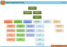 Hospital Org Chart