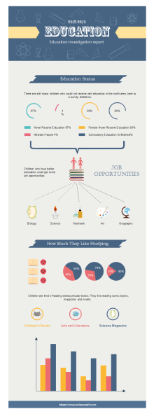 Education Investigation Infographics