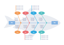 Fishbone Diagram Presentation