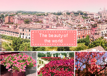 Flower Scenery Photo Collage