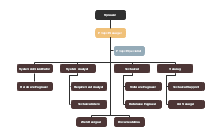 Functional Project Team Org Chart