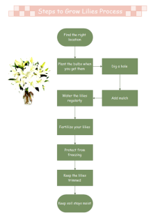 Growlilies Process Steps