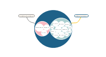 Circle Map