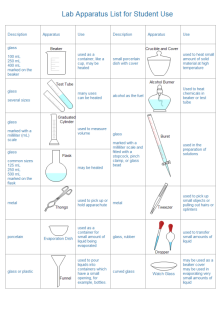 Neuron Diagram