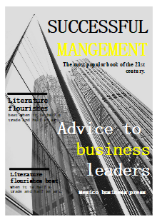 Management Business Book Cover