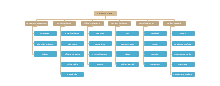 marketing division org chart