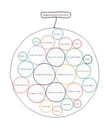 Circle Map