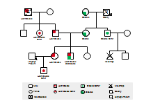 Emotional Relationship Genogram