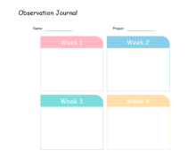 Journal d'observation