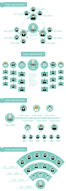 Company Hierarchy Org Chart 