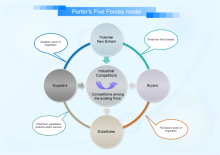 Porters Five Forces Model