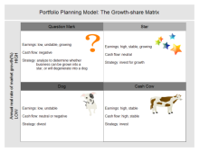 Portfolio Planning Model