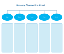 Sensory Observation Diagramm Vorlage