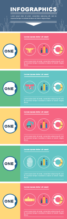 Education Bulletin Infographics