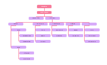 Distribution Center Organizational Chart