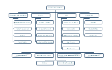 Organigrama de la Dirección Académica de la Universidad