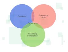 Venn Diagram - 3 Circle