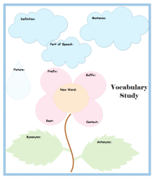 Vocabulary Study Graphic Organizer