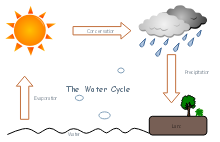 diagrama del ciclo del agua