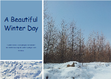 Winter Scenery Photo Collage